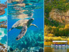 Dalyan Caretta Caretta Tour