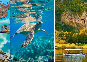 Dalyan Caretta Caretta Tour