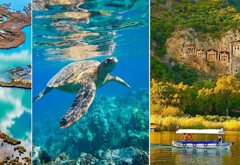 Dalyan Caretta Caretta Tour