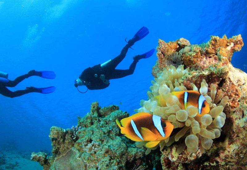 Bodrum Scuba Diving Tour