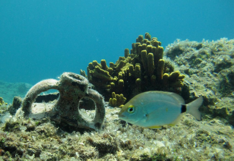 Bodrum Scuba Diving Tour