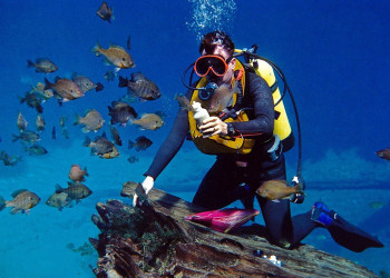 Bodrum Scuba Diving Tour