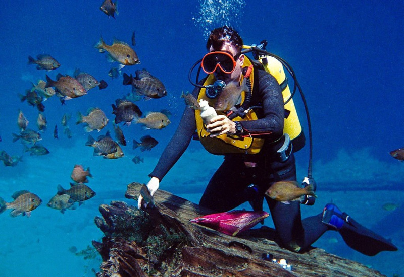 Bodrum Scuba Diving Tour