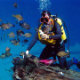 Bodrum Scuba Diving Tour