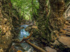 2 Nights 3 Days Kaz Mountains and Olive Grove Tour 2 Nights 3 Days Kaz Mountains and Olive Grove Tour