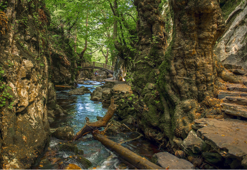 2 Nights 3 Days Kaz Mountains and Olive Grove Tour 2 Nights 3 Days Kaz Mountains and Olive Grove Tour