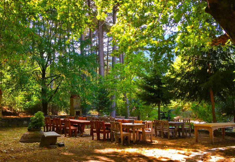 2 Nights 3 Days Kaz Mountains and Olive Grove Tour 2 Nights 3 Days Kaz Mountains and Olive Grove Tour