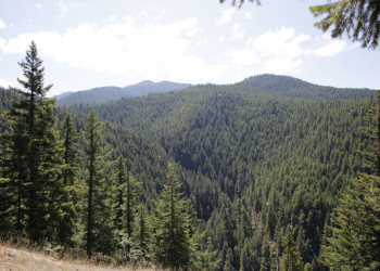 2 Nights 3 Days Kaz Mountains and Olive Grove Tour