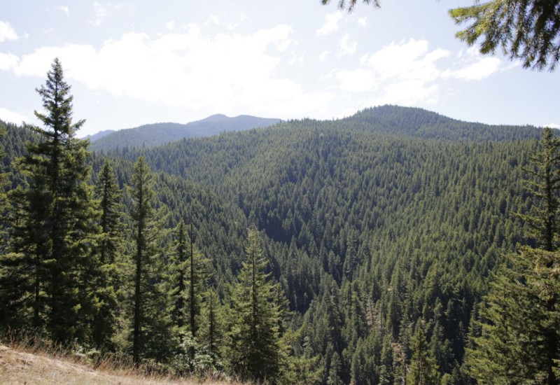 2 Nights 3 Days Kaz Mountains and Olive Grove Tour