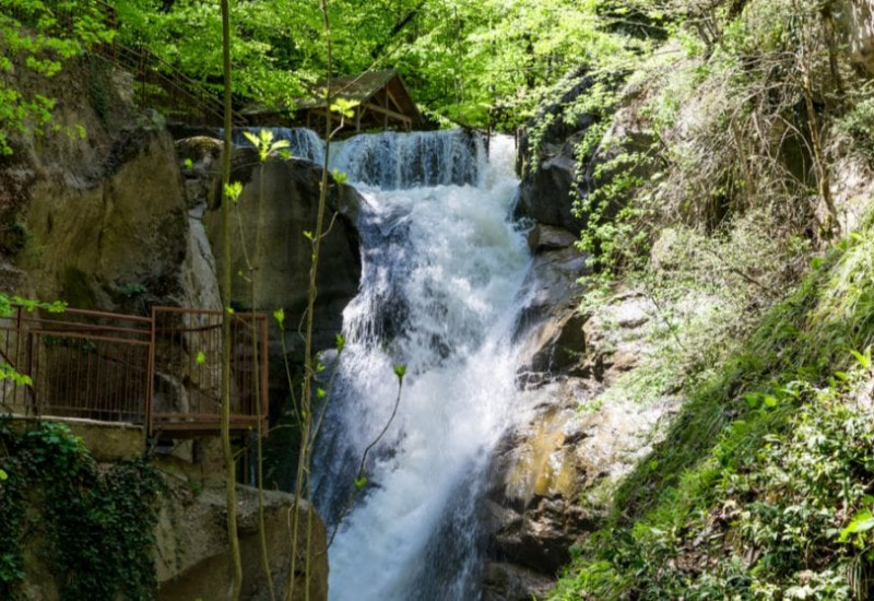 2 Days 1 Night Abant-Yedigöller Nature Runaway Tour 2 Days 1 Night Abant-Yedigöller Nature Runaway Tour