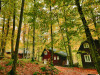 2 Days 1 Night Abant-Yedigöller Nature Runaway Tour 2 Days 1 Night Abant-Yedigöller Nature Runaway Tour