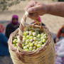 1 Night 2 Days Ayvalik, Cunda & Olive Oil Experience
