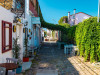 1 Night 2 Days Ayvalik, Cunda & Olive Oil Experience 1 Night 2 Days Ayvalik, Cunda & Olive Oil Experience