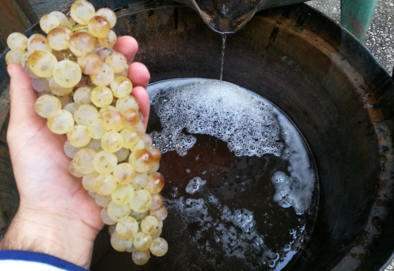 2 Nights 3 Days Thrace Wine Route & Wine Tasting Tour 2 Nights 3 Days Thrace Wine Route & Wine Tasting Tour