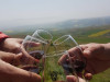 2 Nights 3 Days Thrace Wine Route & Wine Tasting Tour 2 Nights 3 Days Thrace Wine Route & Wine Tasting Tour