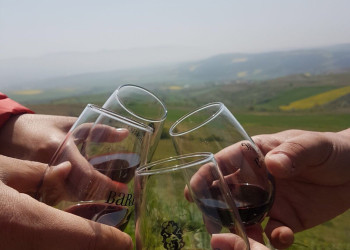 2 Nights 3 Days Thrace Wine Route & Wine Tasting Tour