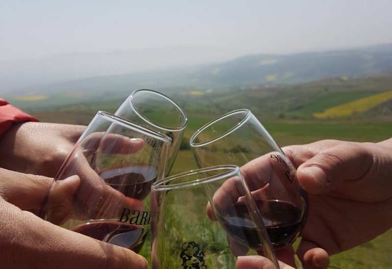2 Nights 3 Days Thrace Wine Route & Wine Tasting Tour 2 Nights 3 Days Thrace Wine Route & Wine Tasting Tour