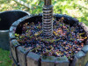 2 Nights 3 Days Thrace Wine Route & Wine Tasting Tour 2 Nights 3 Days Thrace Wine Route & Wine Tasting Tour