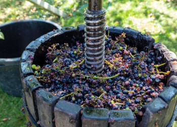2 Nights 3 Days Thrace Wine Route & Wine Tasting Tour