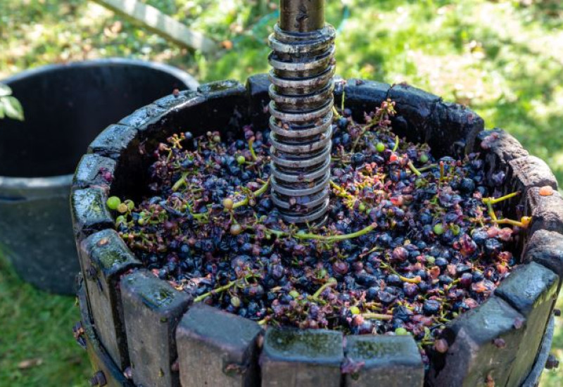 2 Nights 3 Days Thrace Wine Route & Wine Tasting Tour 2 Nights 3 Days Thrace Wine Route & Wine Tasting Tour