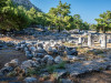 Daily Priene-Miletus-Didyma Tour