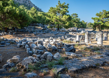 Daily Priene-Miletus-Didyma Tour
