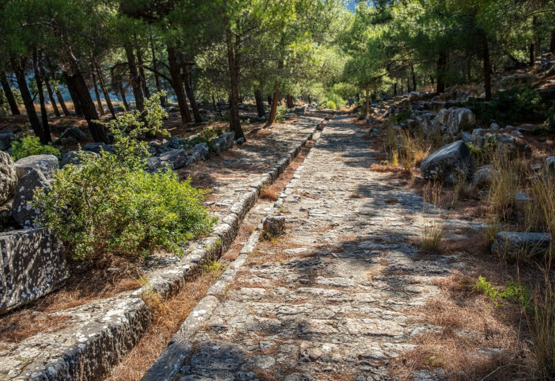 Daily Priene-Miletus-Didyma Tour Daily Priene-Miletus-Didyma Tour