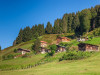 Daily Ayder (Trabzon) Tour