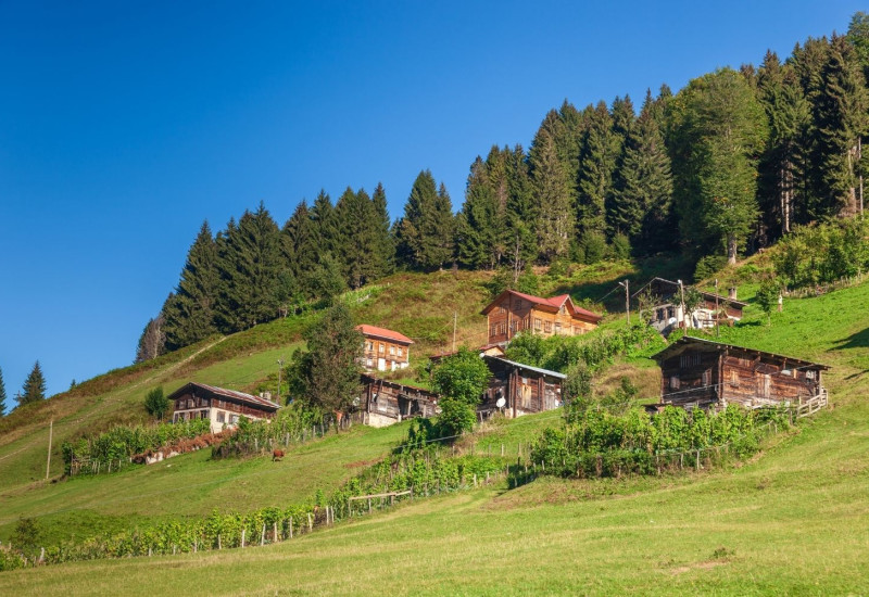 Daily Ayder (Trabzon) Tour Daily Ayder (Trabzon) Tour