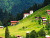 Daily Ayder (Trabzon) Tour