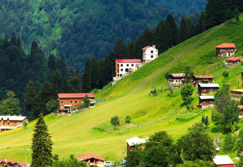 Daily Ayder (Trabzon) Tour
