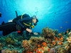 Daily Kusadasi Diving Tour 