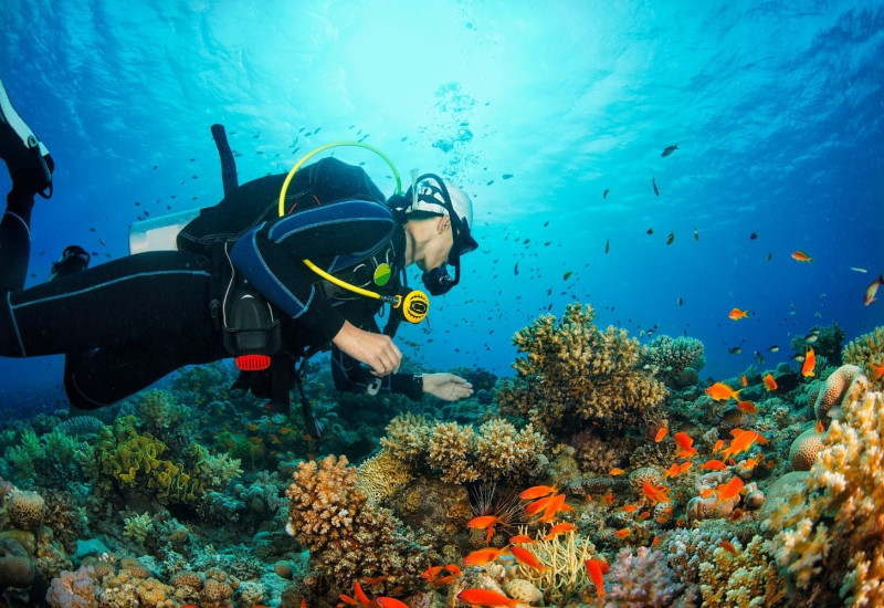 Daily Kusadasi Diving Tour Daily Kusadasi Diving Tour