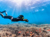 Daily Kusadasi Diving Tour 