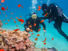 Daily Kusadasi Diving Tour 
