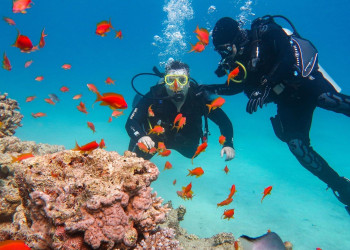 Daily Kusadasi Diving Tour 