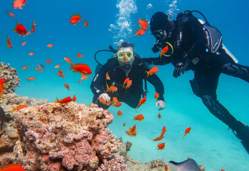 Daily Kusadasi Diving Tour 