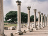 Daily Ephesus Ancient City Tour