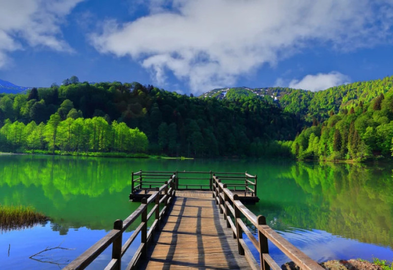 Daily Artvin Nature and Highland Adventure Tour