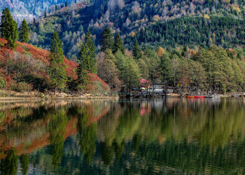 Daily Artvin Nature and Highland Adventure Tour