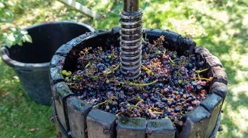 2 Nights 3 Days Thrace Wine Route & Wine Tasting Tour