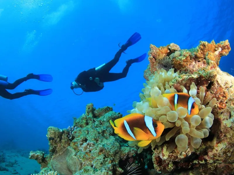 Bodrum Scuba Diving Tour