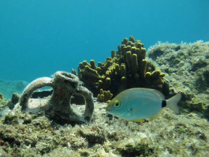 Bodrum Scuba Diving Tour 2