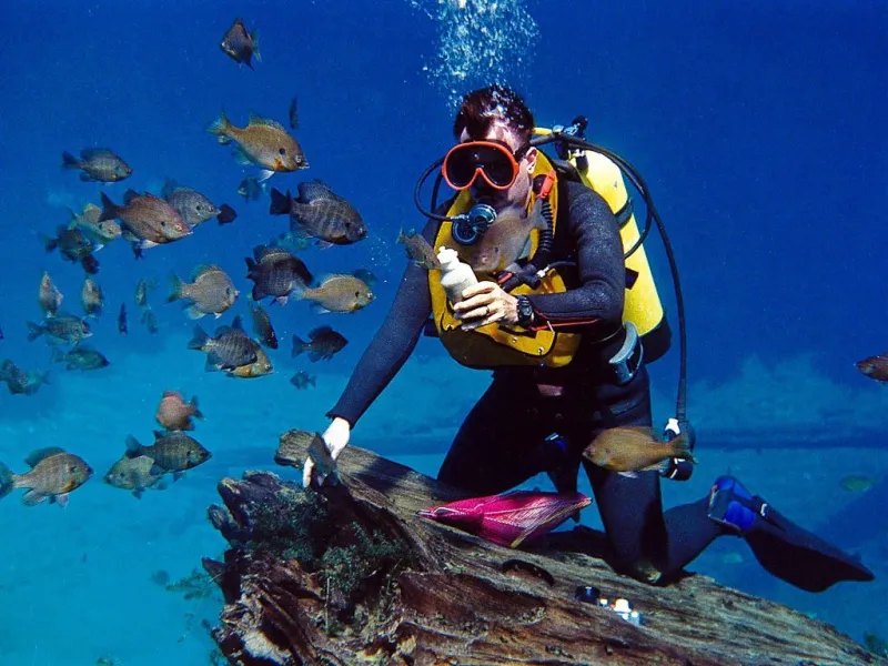 Bodrum Scuba Diving Tour 3