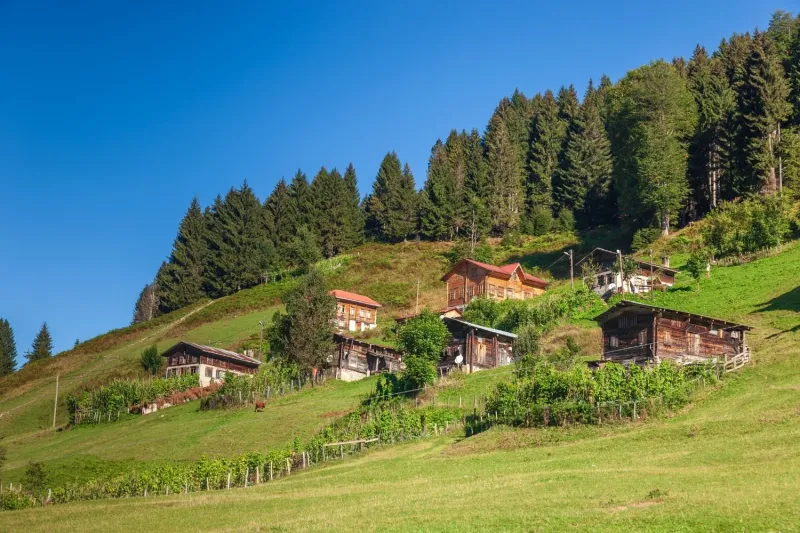 Daily Ayder (Trabzon) Tour 2