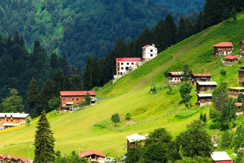 Daily Ayder (Trabzon) Tour 3