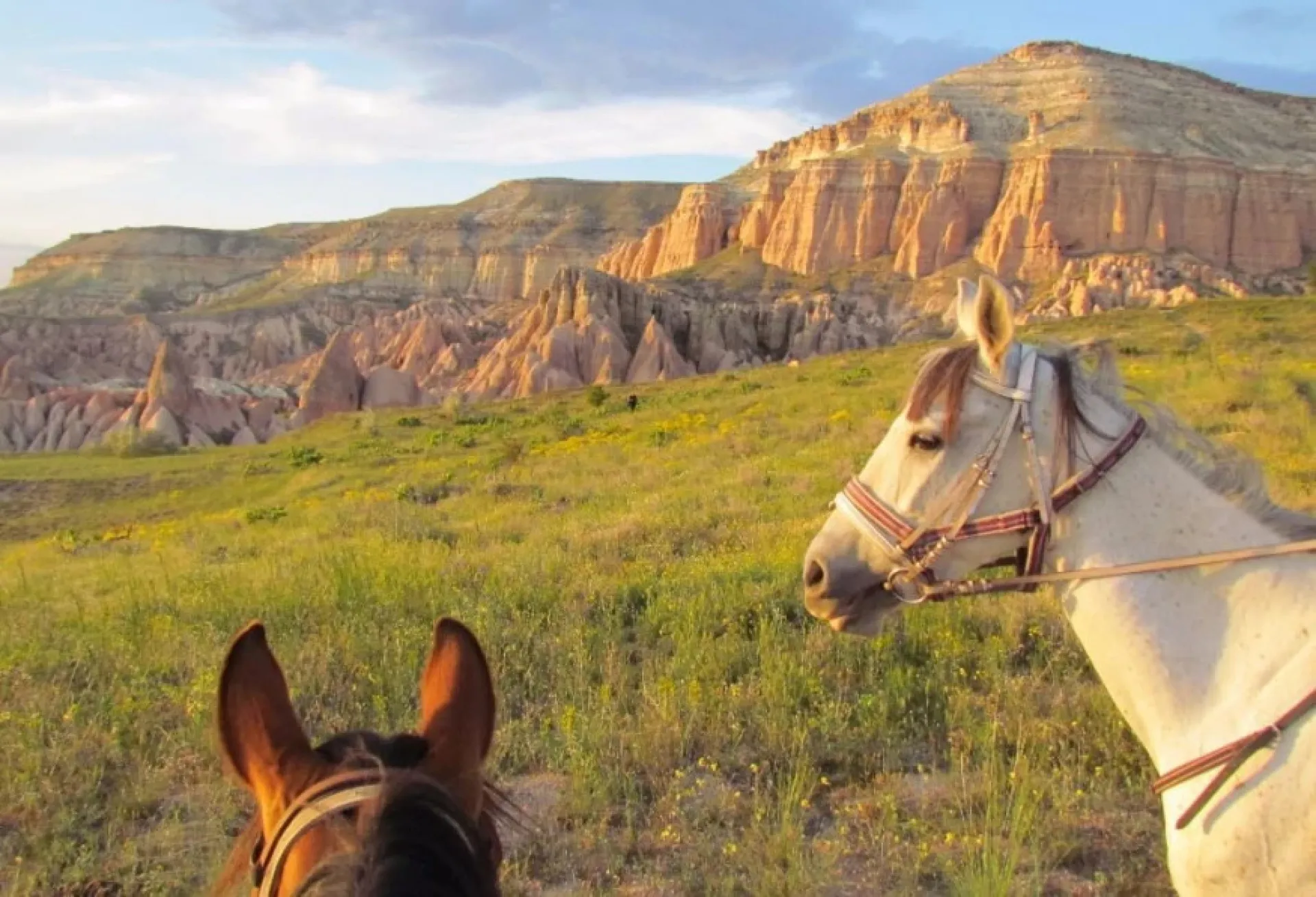 Daily Cappadocia Horseback Riding Tours