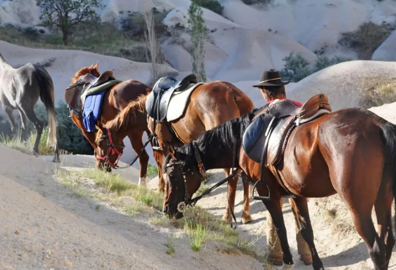 Daily Cappadocia Horseback Riding Tours 2