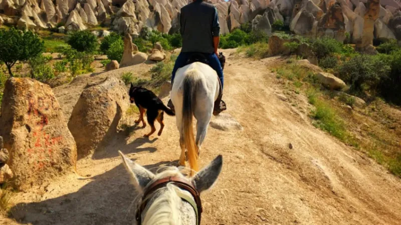 Daily Cappadocia Horseback Riding Tours 3