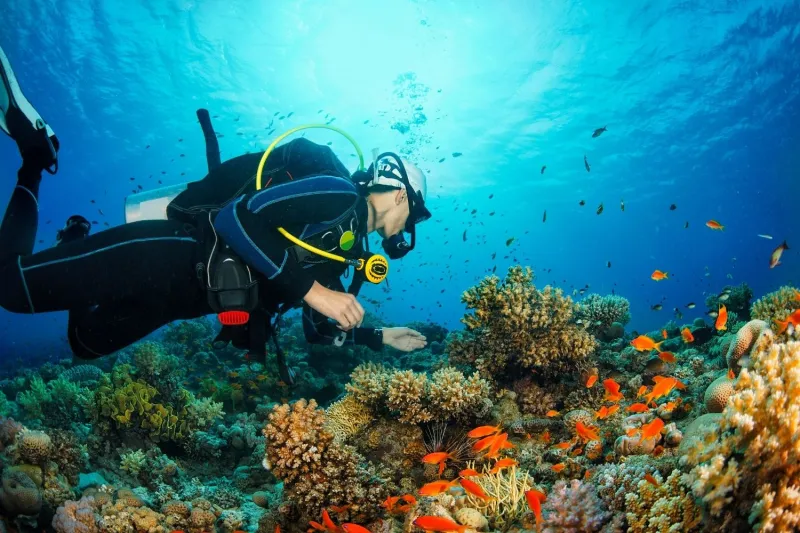 Daily Kusadasi Diving Tour
